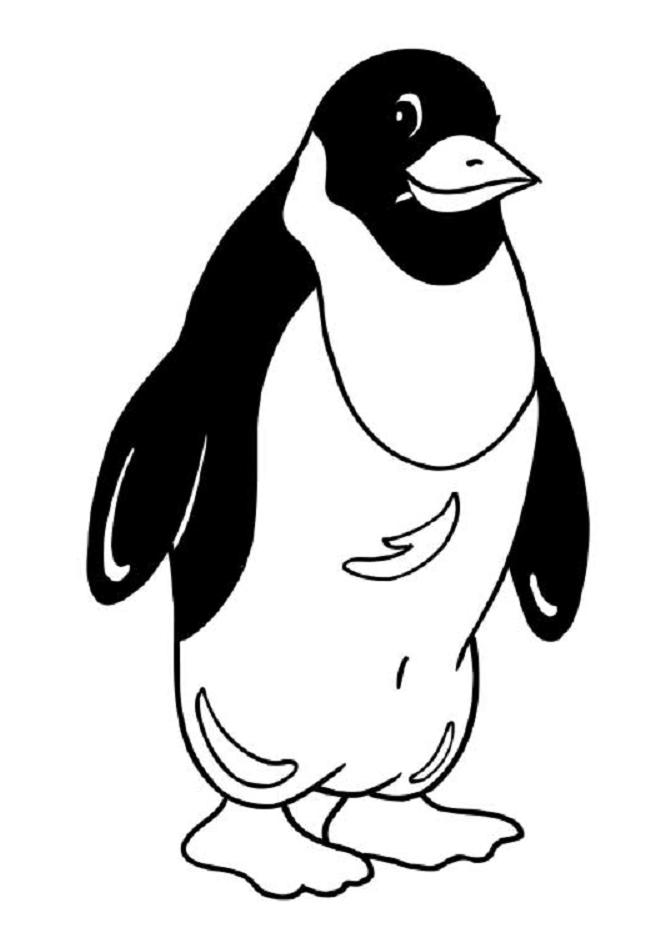 着色页: 企鹅 (动物) #16882 - 免费可打印着色页