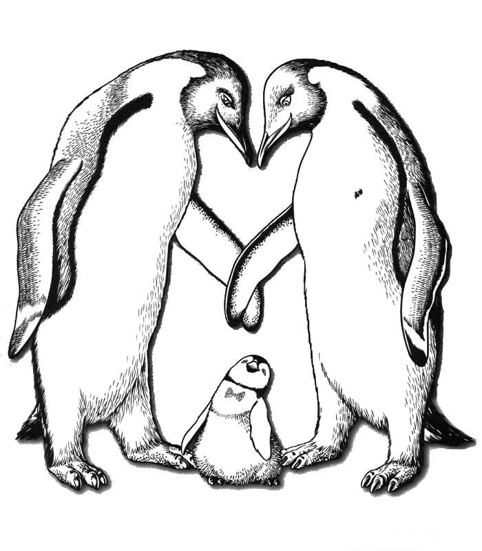 着色页: 企鹅 (动物) #16884 - 免费可打印着色页