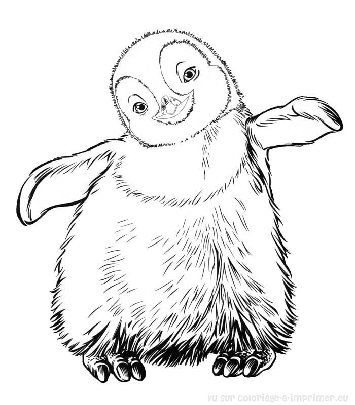 着色页: 企鹅 (动物) #16887 - 免费可打印着色页