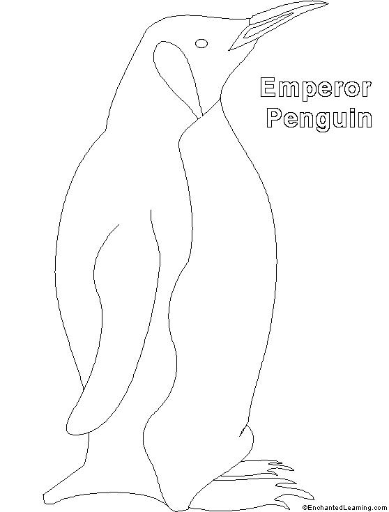 着色页: 企鹅 (动物) #16994 - 免费可打印着色页