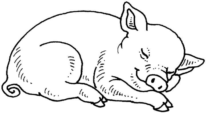 着色页: 猪 (动物) #3590 - 免费可打印着色页