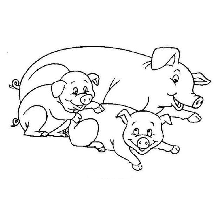 着色页: 猪 (动物) #3601 - 免费可打印着色页