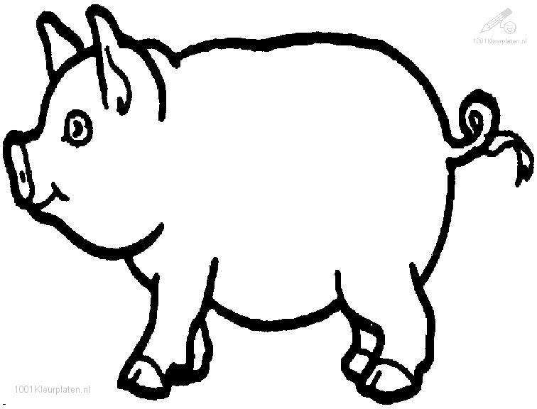 着色页: 猪 (动物) #3603 - 免费可打印着色页