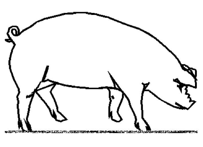 着色页: 猪 (动物) #3643 - 免费可打印着色页
