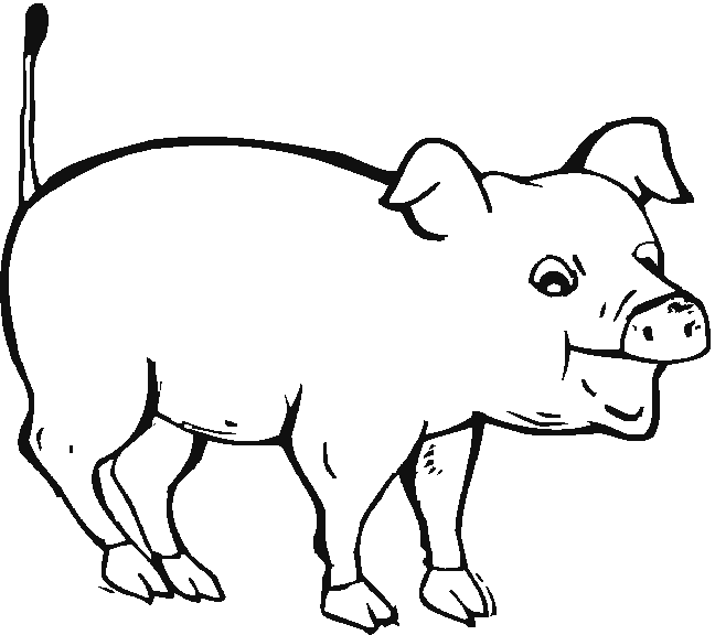 着色页: 猪 (动物) #3657 - 免费可打印着色页