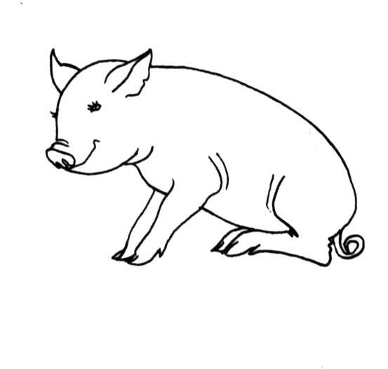 着色页: 猪 (动物) #3744 - 免费可打印着色页