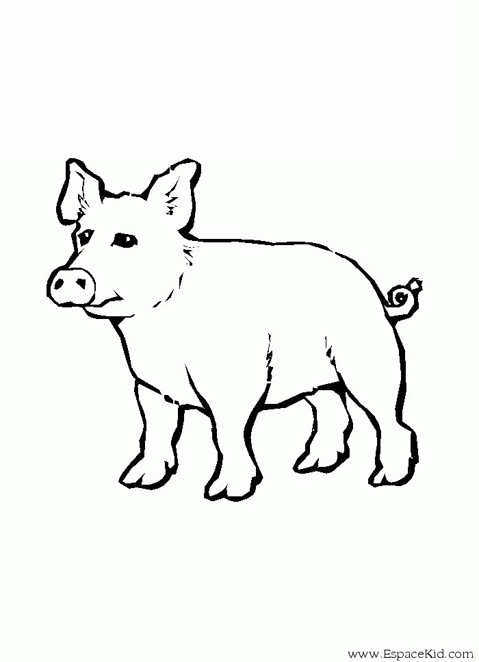 着色页: 猪 (动物) #3765 - 免费可打印着色页