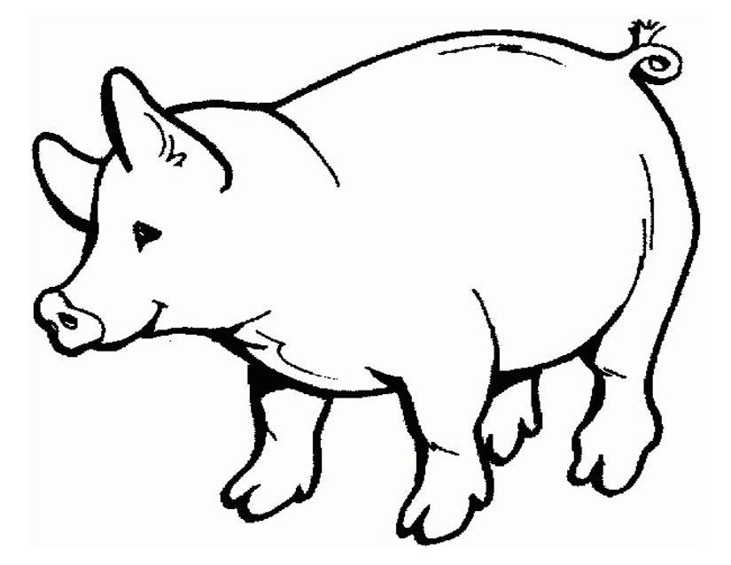 着色页: 猪肉 (动物) #17621 - 免费可打印着色页