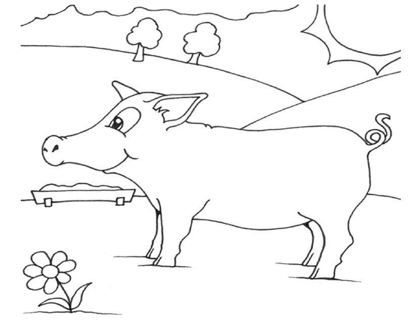 着色页: 猪肉 (动物) #17638 - 免费可打印着色页