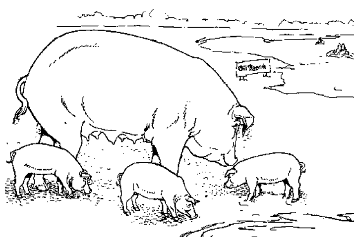 着色页: 猪肉 (动物) #17681 - 免费可打印着色页