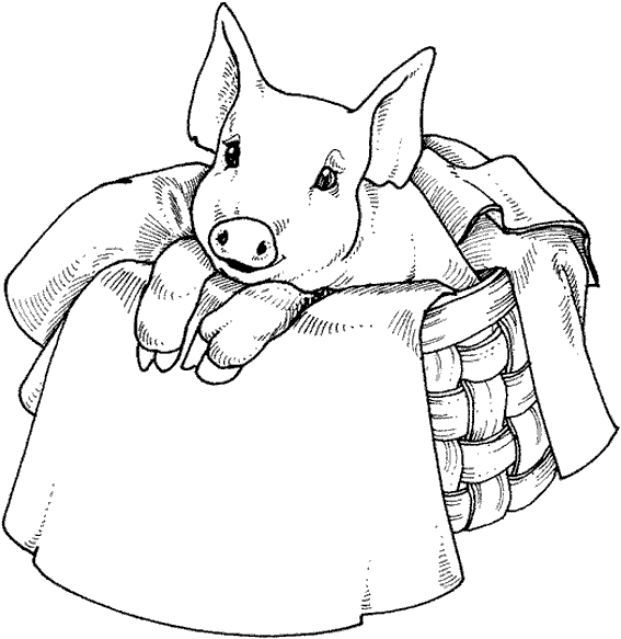 着色页: 猪肉 (动物) #17784 - 免费可打印着色页