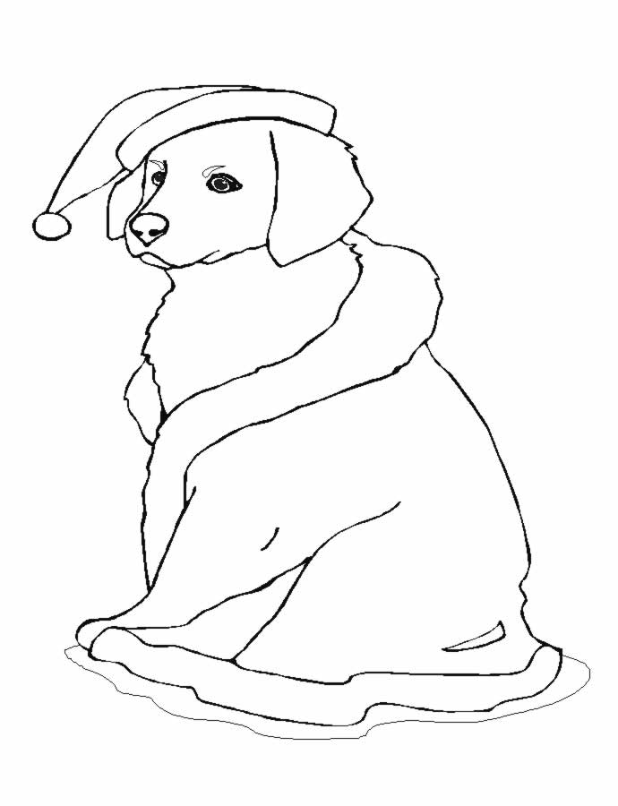 着色页: 小狗 (动物) #2905 - 免费可打印着色页