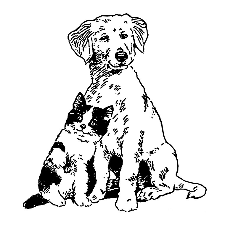 着色页: 小狗 (动物) #2931 - 免费可打印着色页
