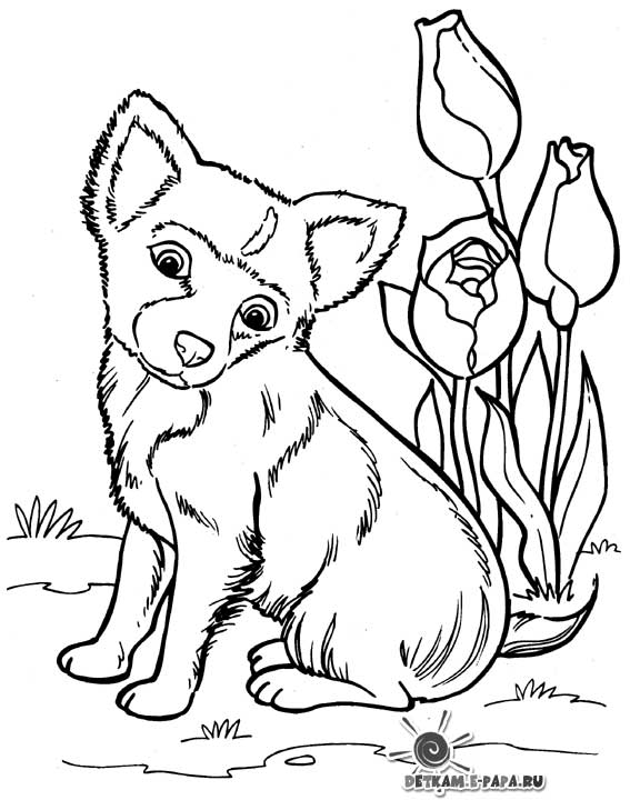 着色页: 小狗 (动物) #2941 - 免费可打印着色页