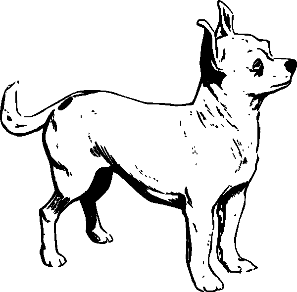 着色页: 小狗 (动物) #2962 - 免费可打印着色页