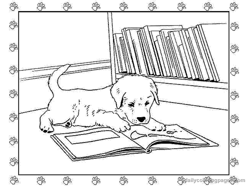 着色页: 小狗 (动物) #2973 - 免费可打印着色页