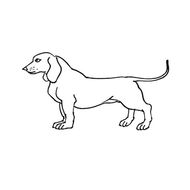 着色页: 小狗 (动物) #2979 - 免费可打印着色页