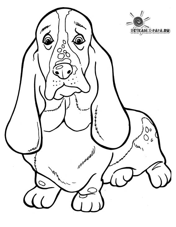 着色页: 小狗 (动物) #3000 - 免费可打印着色页