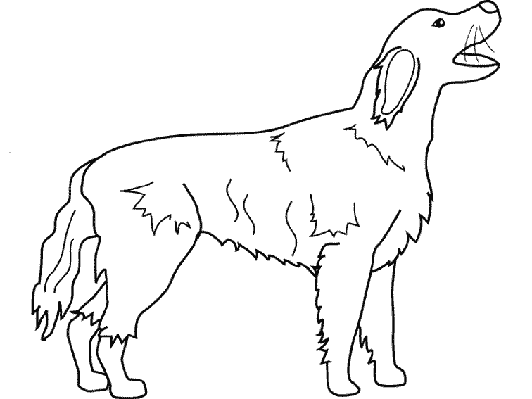 着色页: 小狗 (动物) #3025 - 免费可打印着色页