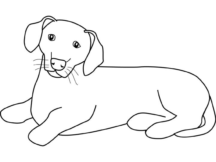着色页: 小狗 (动物) #3031 - 免费可打印着色页