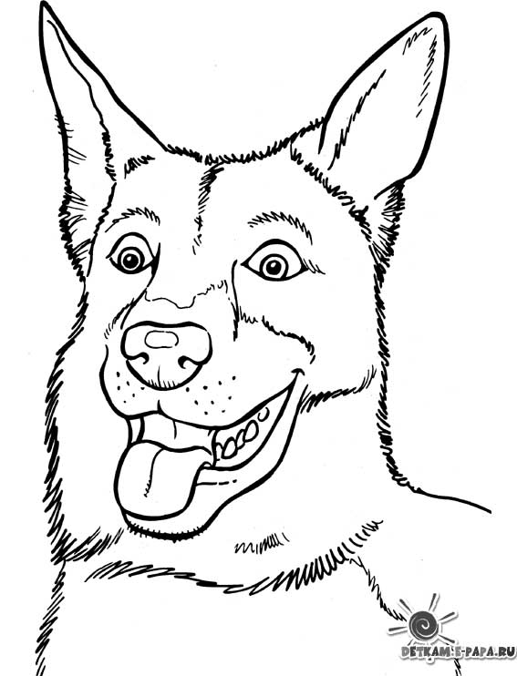 着色页: 小狗 (动物) #3051 - 免费可打印着色页