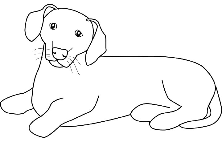 着色页: 小狗 (动物) #3059 - 免费可打印着色页