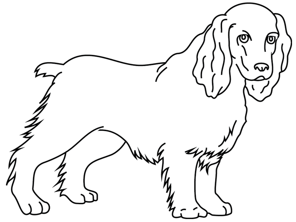 着色页: 小狗 (动物) #3077 - 免费可打印着色页