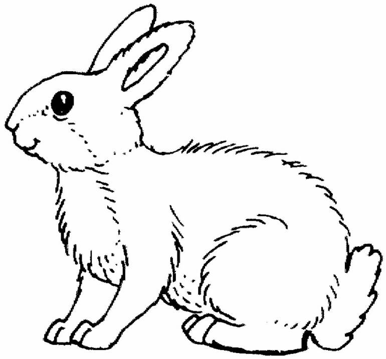 着色页: 兔子 (动物) #9504 - 免费可打印着色页