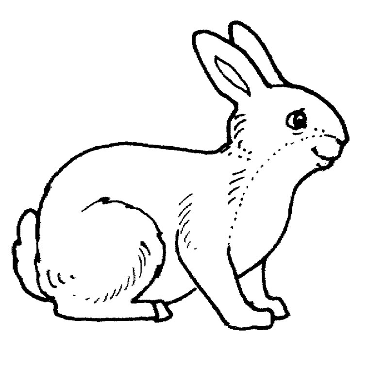 着色页: 兔子 (动物) #9506 - 免费可打印着色页