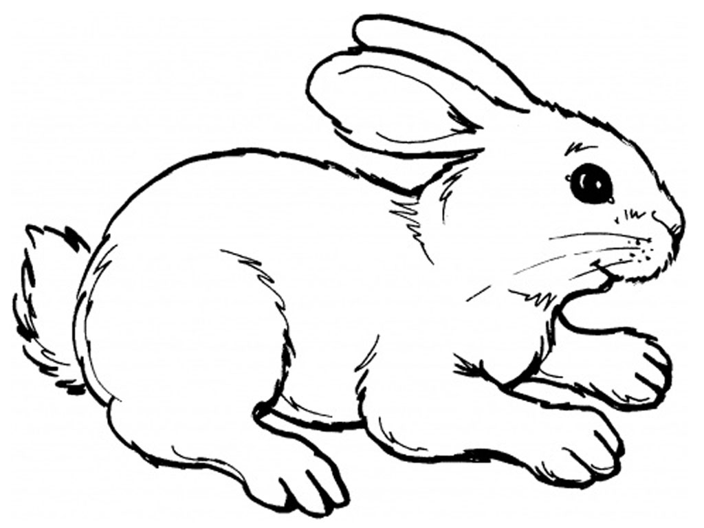 着色页: 兔子 (动物) #9507 - 免费可打印着色页