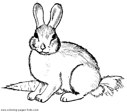着色页: 兔子 (动物) #9519 - 免费可打印着色页