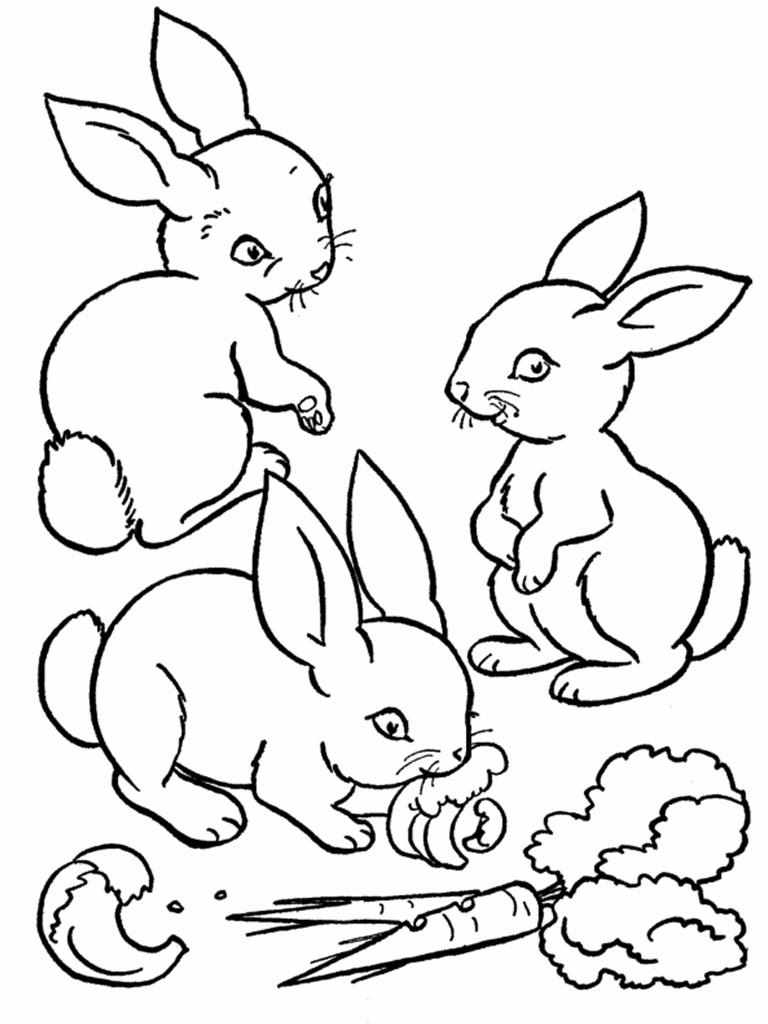 着色页: 兔子 (动物) #9522 - 免费可打印着色页