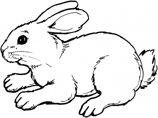 着色页: 兔子 (动物) #9526 - 免费可打印着色页