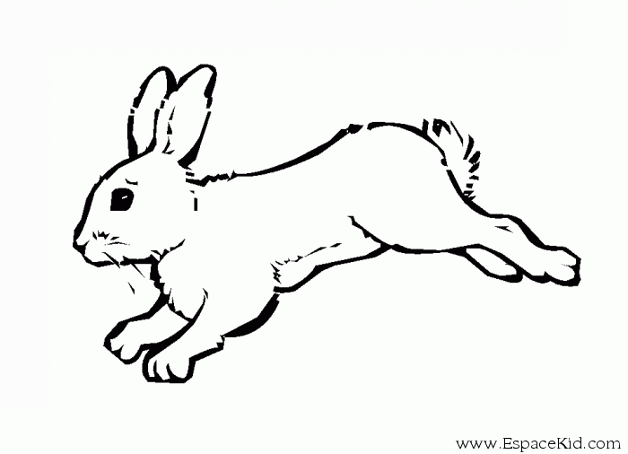 着色页: 兔子 (动物) #9560 - 免费可打印着色页