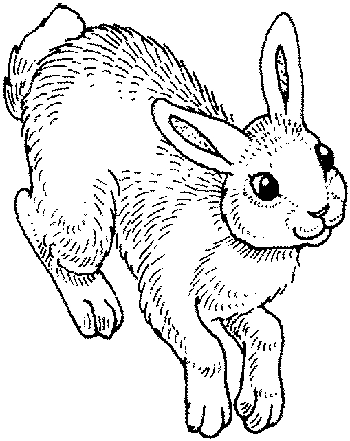 着色页: 兔子 (动物) #9581 - 免费可打印着色页