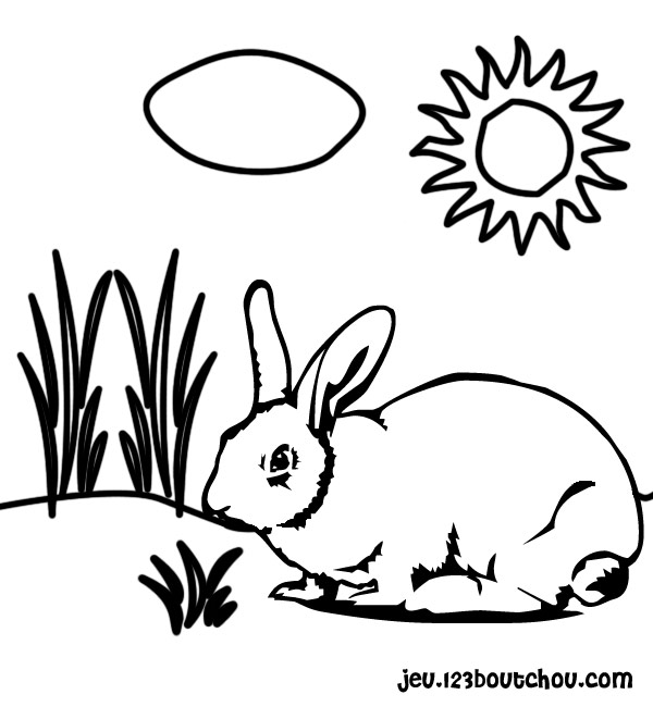 着色页: 兔子 (动物) #9584 - 免费可打印着色页