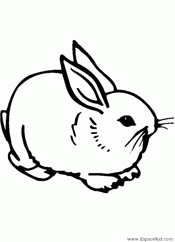 着色页: 兔子 (动物) #9610 - 免费可打印着色页