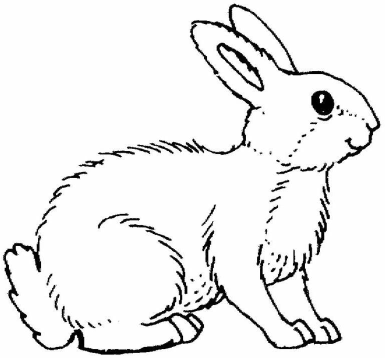 着色页: 兔子 (动物) #9689 - 免费可打印着色页