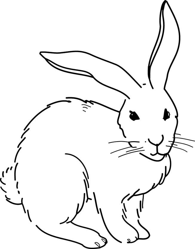 着色页: 兔子 (动物) #9694 - 免费可打印着色页