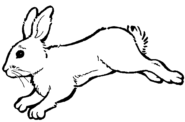 着色页: 兔子 (动物) #9702 - 免费可打印着色页