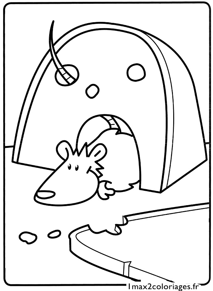 着色页: 鼠 (动物) #15184 - 免费可打印着色页