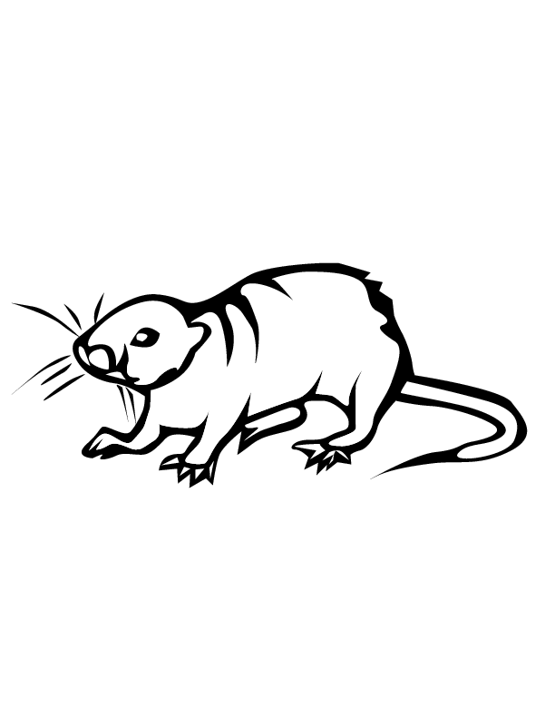 着色页: 鼠 (动物) #15200 - 免费可打印着色页