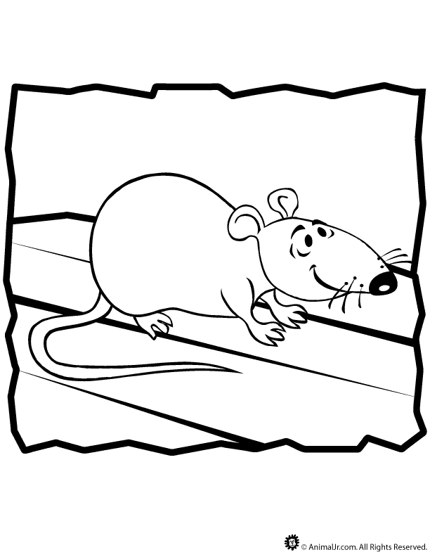 着色页: 鼠 (动物) #15202 - 免费可打印着色页