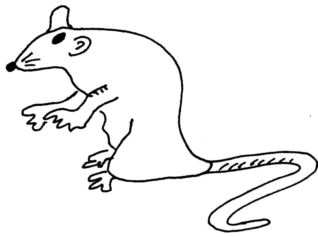 着色页: 鼠 (动物) #15242 - 免费可打印着色页