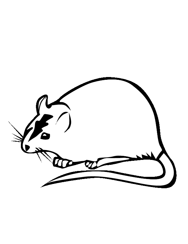 着色页: 鼠 (动物) #15255 - 免费可打印着色页