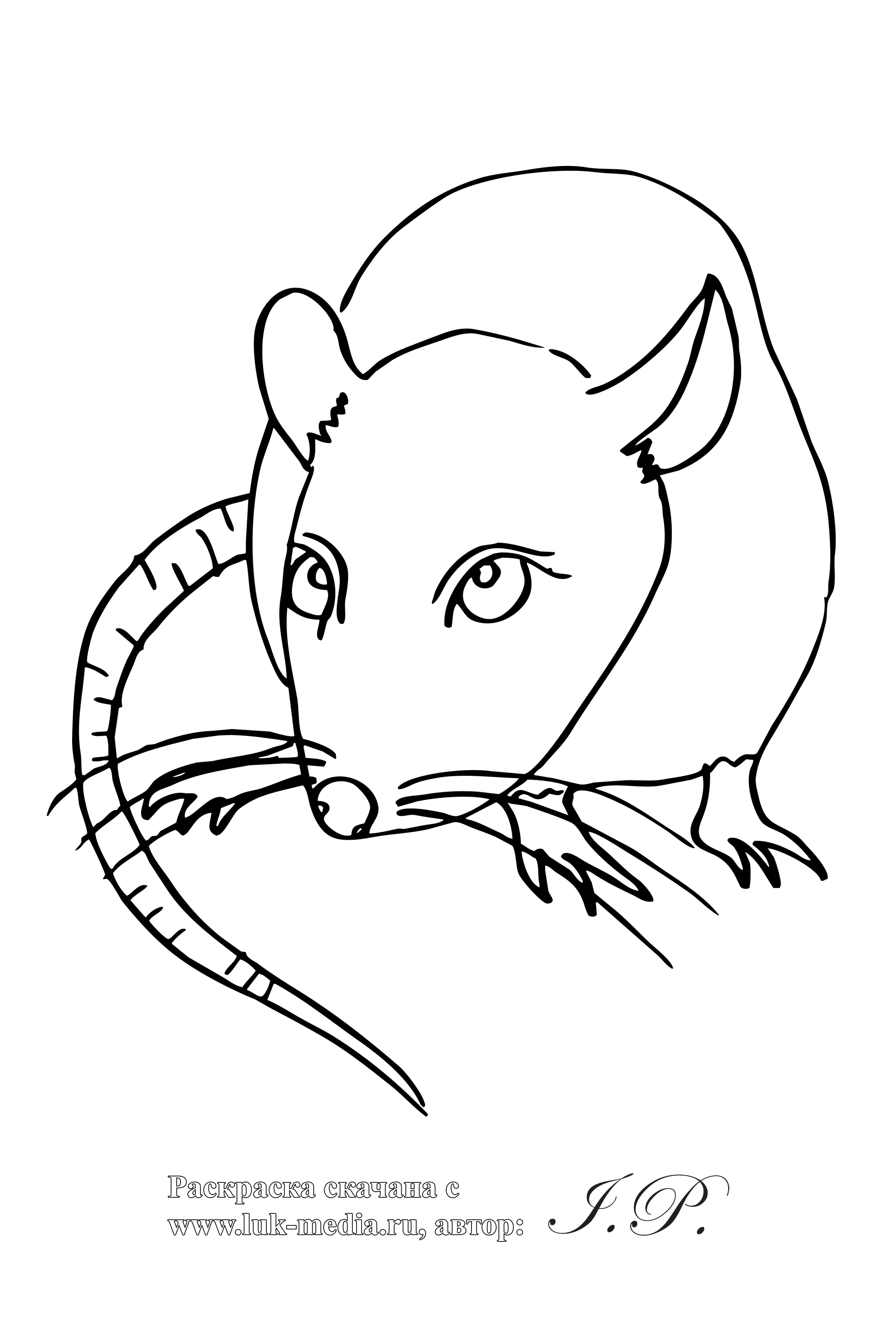 着色页: 鼠 (动物) #15264 - 免费可打印着色页