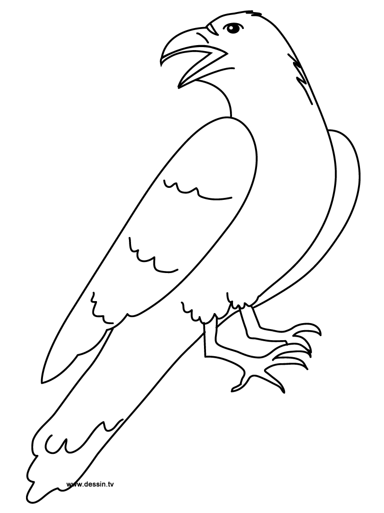 着色页: 乌鸦 (动物) #4289 - 免费可打印着色页