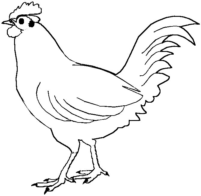 着色页: 公鸡 (动物) #4089 - 免费可打印着色页