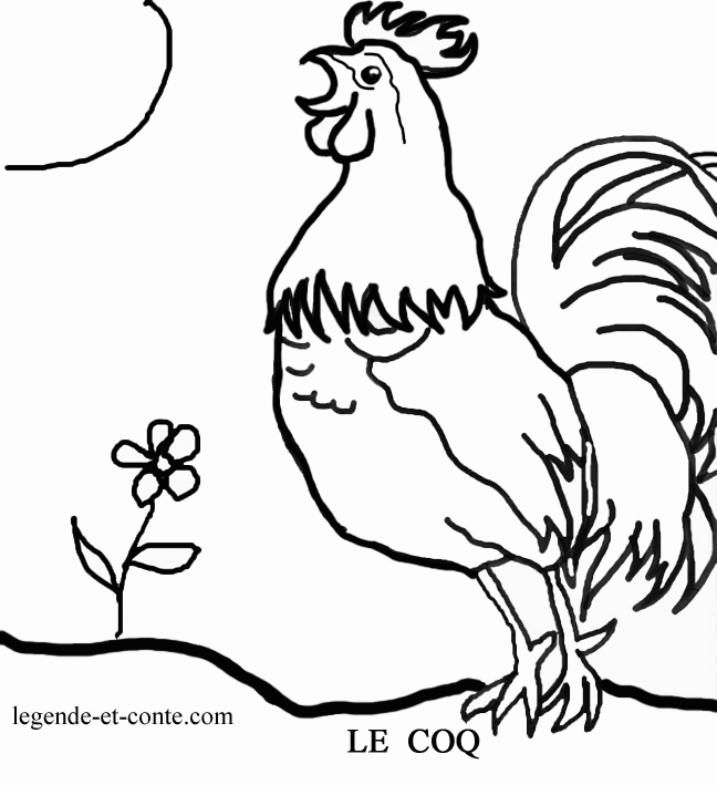 着色页: 公鸡 (动物) #4091 - 免费可打印着色页