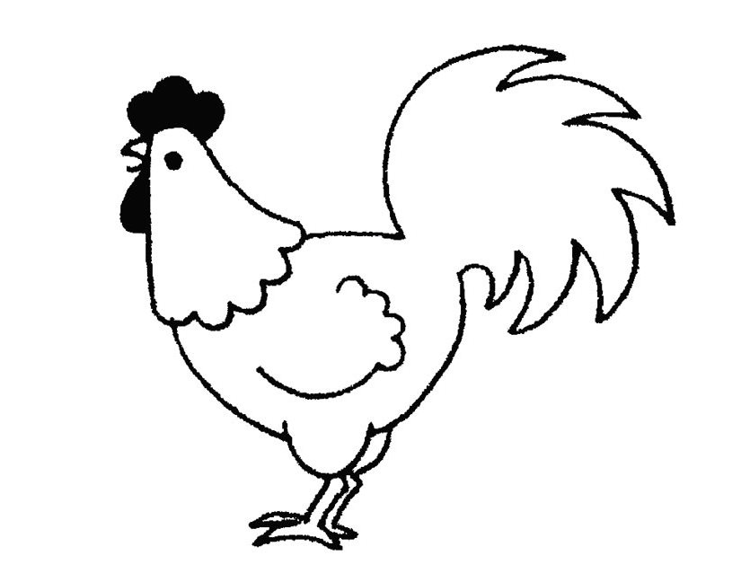 着色页: 公鸡 (动物) #4093 - 免费可打印着色页